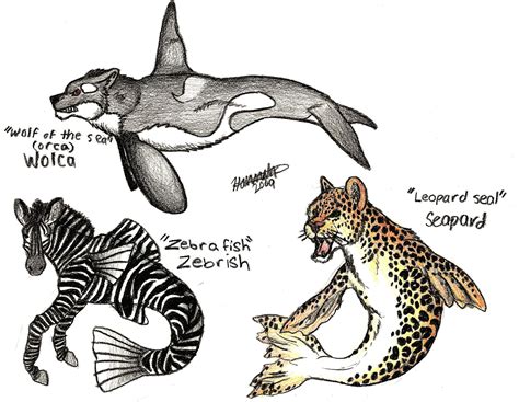 The magical properties and abilities of sea creature hybrids
